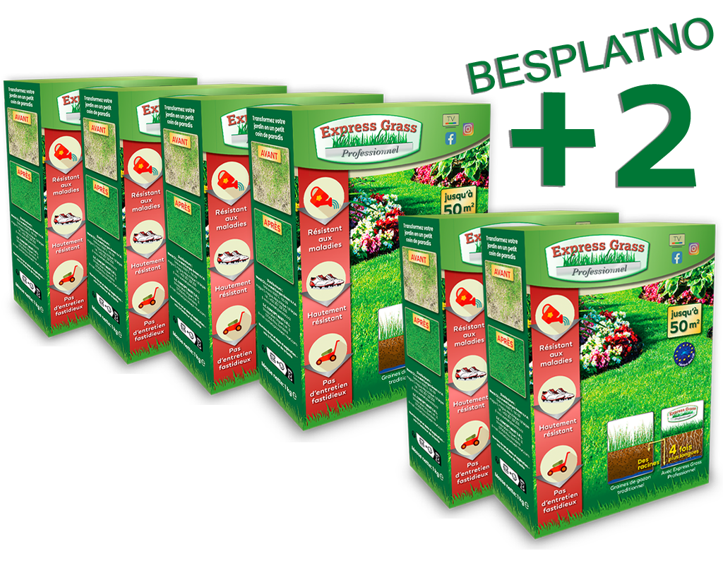 4 + 2 Express Grass Professional