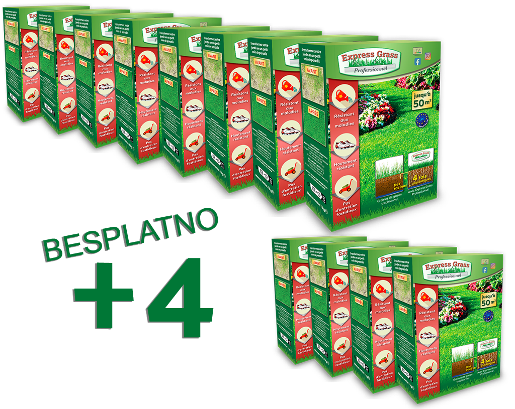 8 + 4 Express Grass Professional