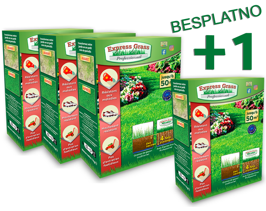 3 + 1 Express Grass Professional