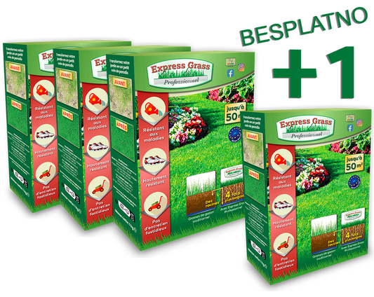 3 + 1 Express Grass Professional