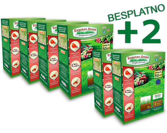4 + 2 Express Grass Professional