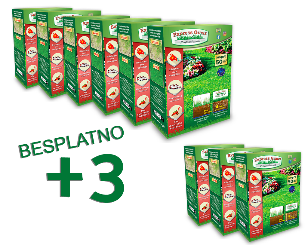 6 + 3 Express Grass Professional